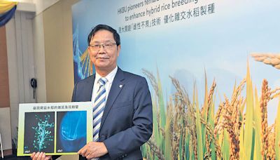 浸大研「變種」技術 增雜交水稻種植效率 - 晴報 - 港聞 - 新聞頭條