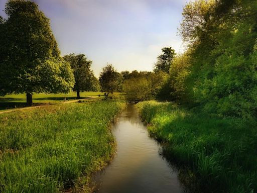 Met Office hour-by-hour forecast for Watford amid warm spell today