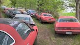 Hoard of 50-Plus Pontiac Trans-Am and Firebird Muscle Cars Up for Grabs