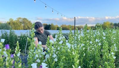 Greenville Date Night: A pick-your-own flower farm is the perfect stress relief
