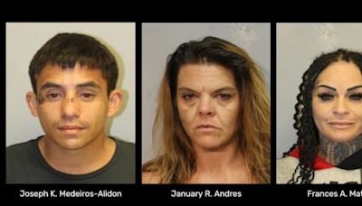 Hawaii Island police charge 3 people with various financial crimes after Hilo mail theft