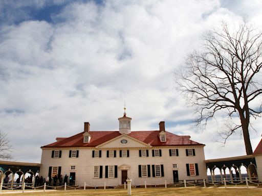 Impresionante hallazgo en una mansión de George Washington: botellas de hace 250 años con cerezas - El Diario NY