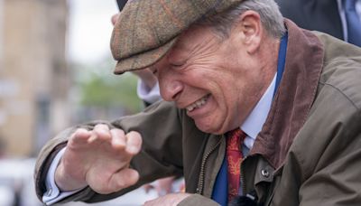 Man admits throwing objects at Nigel Farage