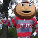 Brutus Buckeye