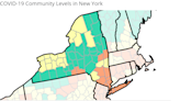 COVID killed nearly 1,600 New Yorkers as new variant emerged in December. It may get worse