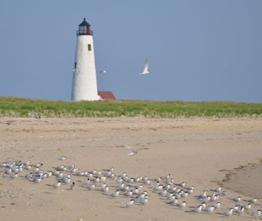 This is the biggest challenge facing law enforcement on Nantucket, Martha’s Vineyard