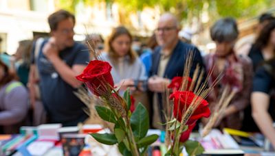 Las mejores frases y dedicatorias para celebrar Sant Jordi 2024