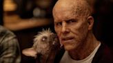 ‘Deadpool & Wolverine’ will feature a canine character voted Britain’s ‘ugliest dog,’ says Ryan Reynolds