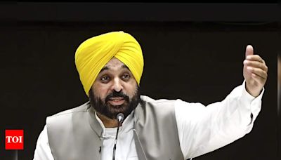 Punjab to Decriminalise Boiler Regulations for Ease of Doing Business | Chandigarh News - Times of India