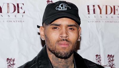 Chris Brown hit with $50 million lawsuit for alleged assault on four concert attendees