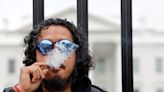 Weed on the ballot: The cannabis industry sifts through Tuesday's mixed results