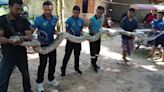 Watch: 17ft python caught lurking near Thailand resident’s house