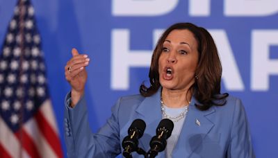 Kamala Harris' choice of campaign chief raises eyebrows