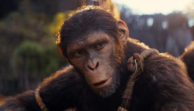 ‘Kingdom Of The Planet Of The Apes’ Star On Meaning Of Telescope Scenes