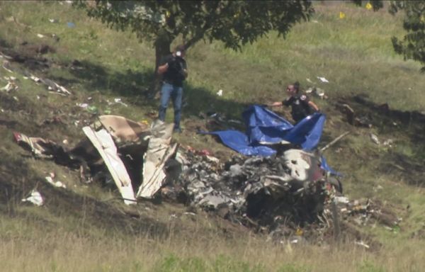 Pilot dead after plane crash in Niagara County, sheriff confirms