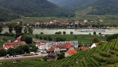 The Beginner's Guide To Austrian Wines