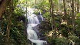Top 12 waterfalls in New Jersey named by Only in Your State