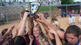 Rodichok pitches Tri-Valley to PIAA State Championship