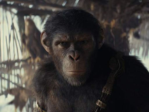 El planeta de los simios volvió a los cines con una nueva y eficaz película