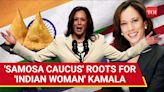 Kamala Harris 'Gets Support Of 4.4 Million Indian-Americans' | Big Cheer From 'Samosa Caucus'