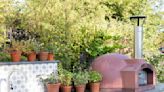 8 plants that deter mosquitoes - keep biting pests away with these aromatic plants