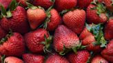 The FDA is investigating a Hepatitis A outbreak linked to organic strawberries sold at Walmart, Trader Joe's and other retailers