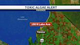 FDOH issues algae alert for waterways in Palm Beach County