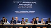 WTO strikes global trade deals after 'roller coaster' talks