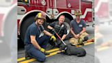 Firefighters, animal officers rescue locked-out dog from 4th-floor balcony in Irvine