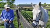 For ex-Derby winner Silver Charm, it's a life of leisure and Old Friends at Kentucky retirement farm