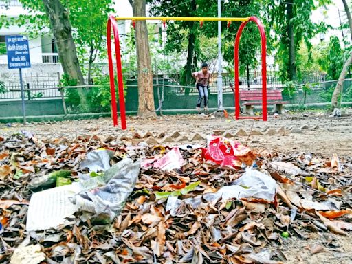 Parks and (no) recreation: Govt grant not paid in months, several green spaces in Delhi clamour for upkeep
