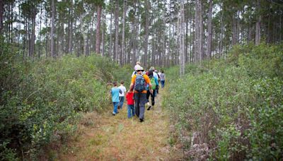 Orange County announces purchase of over 750 acres of environmentally sensitive lands