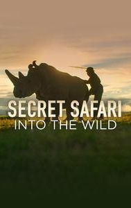 Secret Safari: Into the Wild