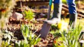 Get your garden ready for winter