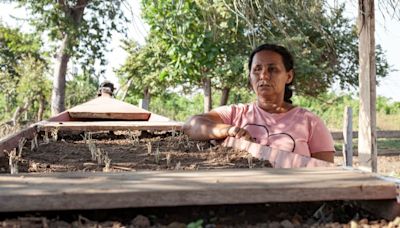 Sobreviventes de desastres climáticos no Brasil contam histórias de perdas e superação