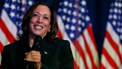 Kamala Harris embraces ‘brat summer,’ ‘coconut tree’ memes to woo Gen Z - National | Globalnews.ca