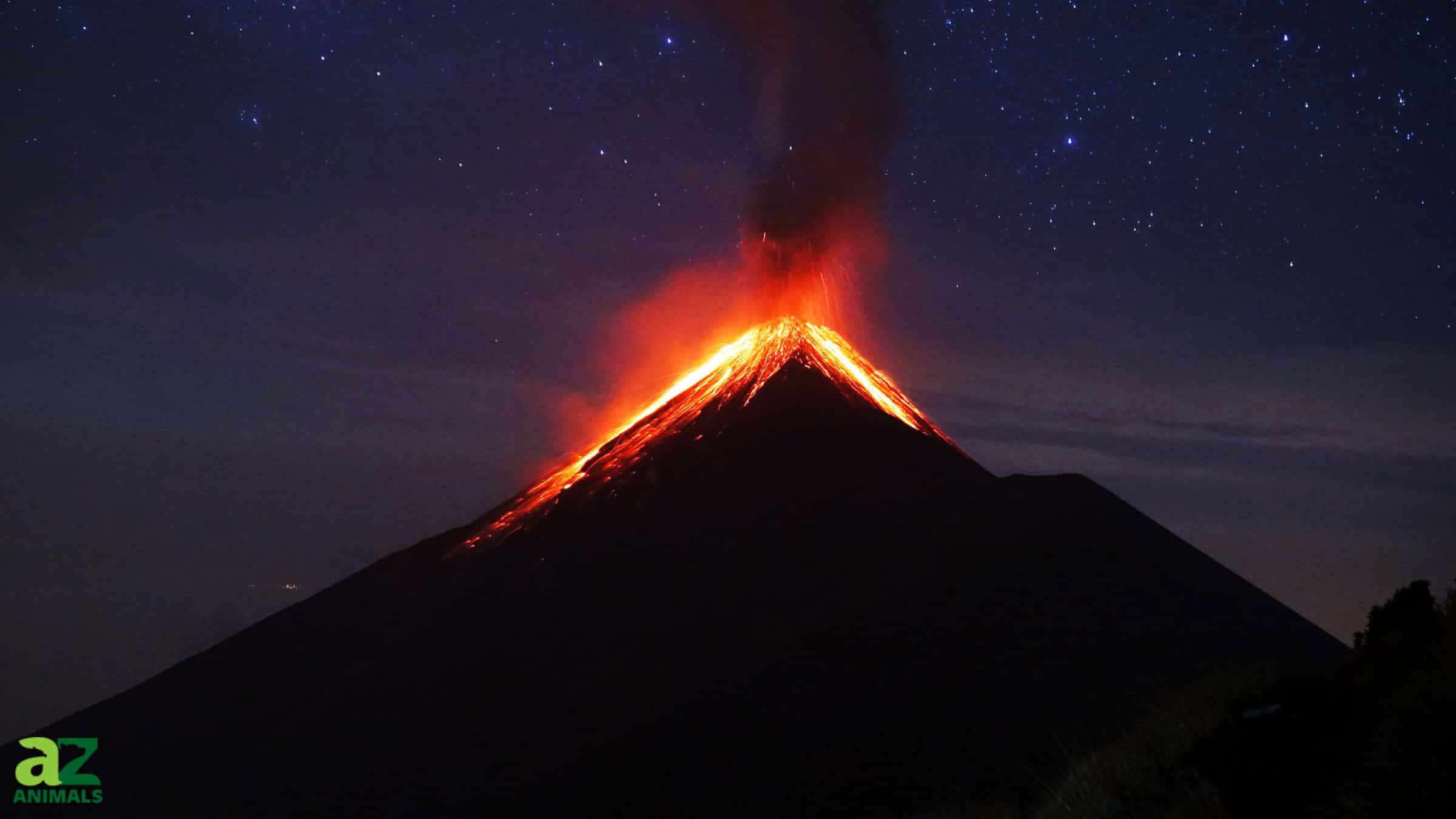 A Sleeping Volcano in America is Coming to Life After 800 Years