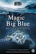 The Magic of the Big Blue