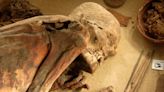 Descubren con qué materiales los egipcios momificaban a sus muertos para mantenerlos intactos