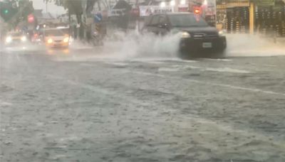 魚在馬路上游泳！台南永康涵洞瞬間大雨宣洩不及