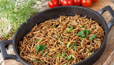 This country just approved 16 insects as food — which buggy bite would you eat?