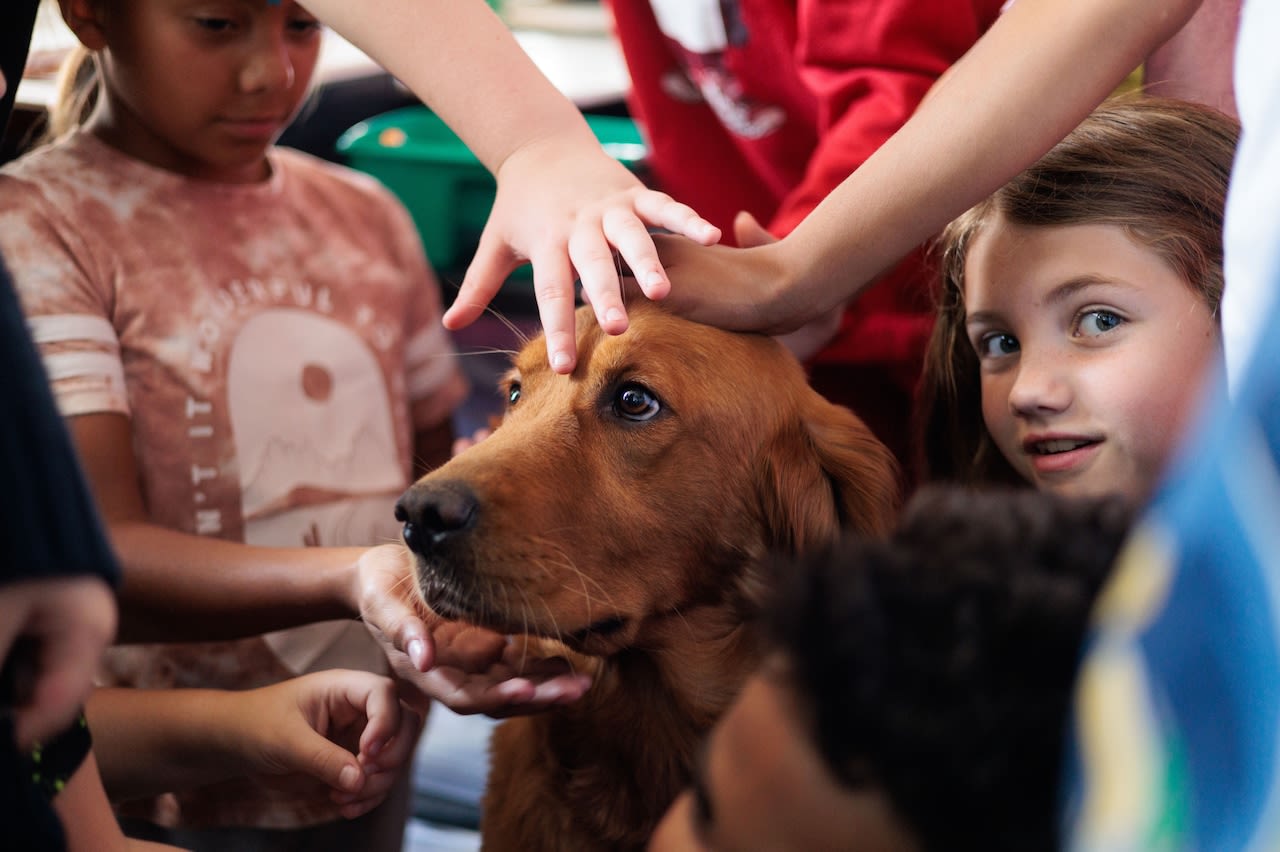 Already a celebrity: Meet Mindy, the new therapy dog at Brick Elementary School