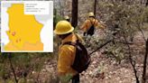 Nueve incendios forestales en el estado; 123 los combaten: Conafor