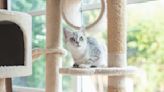 8 Cat Trees That'll Make Your Tiger Feel Like King of the Jungle