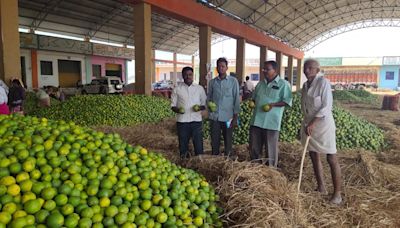 Rythu Sangham demands scrapping of commission system in Anantapur orange market yard