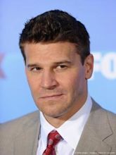 David Boreanaz