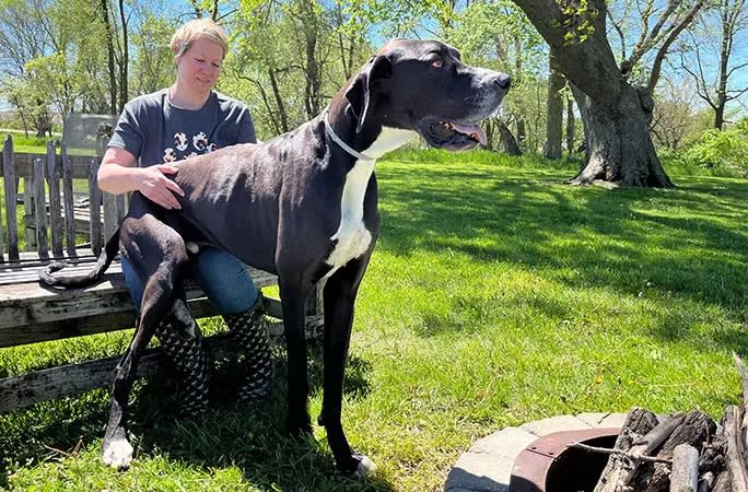 Kevin, the world's tallest male dog, dies soon after setting the record