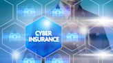 S&P: 2023 Marked Stall of Rapid Growth in US Cyber Insurance