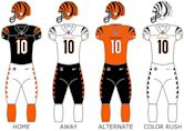 2024 Cincinnati Bengals season