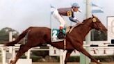 El “Maracanazo” del turf argentino. El Sembrador, el caballo de físico pobre al que atendió un kinesiólogo, “empujó un ángel” y ganó la carrera del millón de dólares